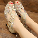 Glitter Ballroom Party Wedding Dance Shoes Women's Rhinestones Latin Salsa Swing Dancing Sandals Back Zipper
