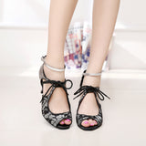 Lace Glitter Latin Dance Shoes For Women Ladies Silver Black Tango Waltz Ballroom Indoor Dancing Shoes