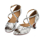 <transcy>Zapatos de baile para mujer | Zapatos de baile de salsa de salón de fiesta | Suela de ante gris | Danceshoesmart</transcy>